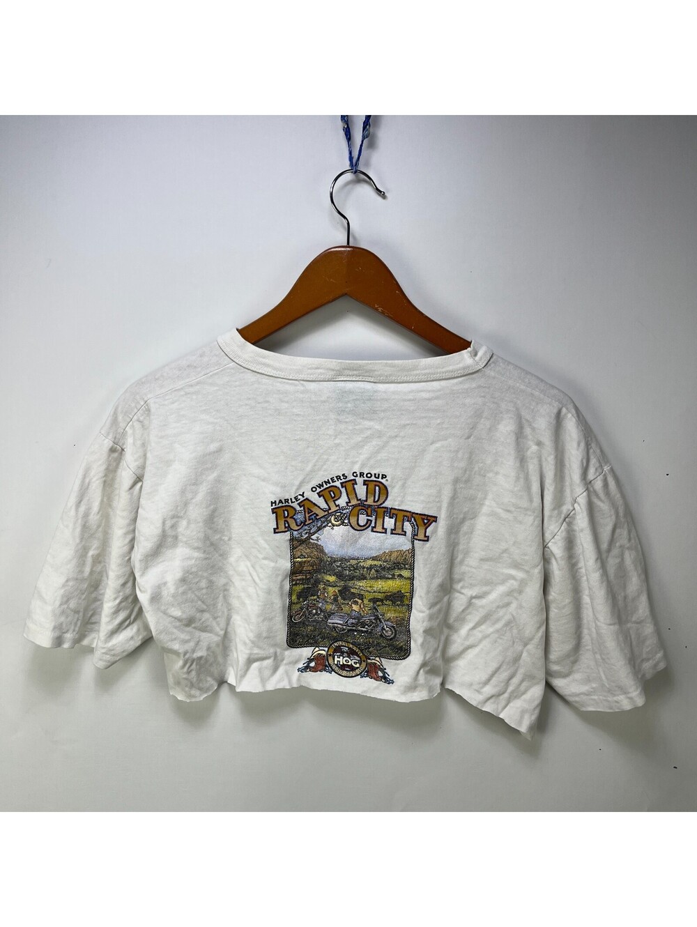 Vintage Harley Davidson HOG Ladies Of Harley Crop top L - Picture 4 of 8